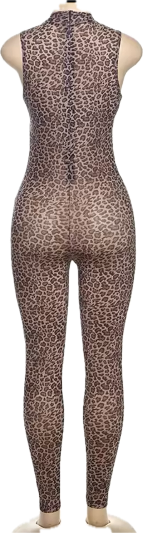 “Leopard bae” mesh jumpsuit