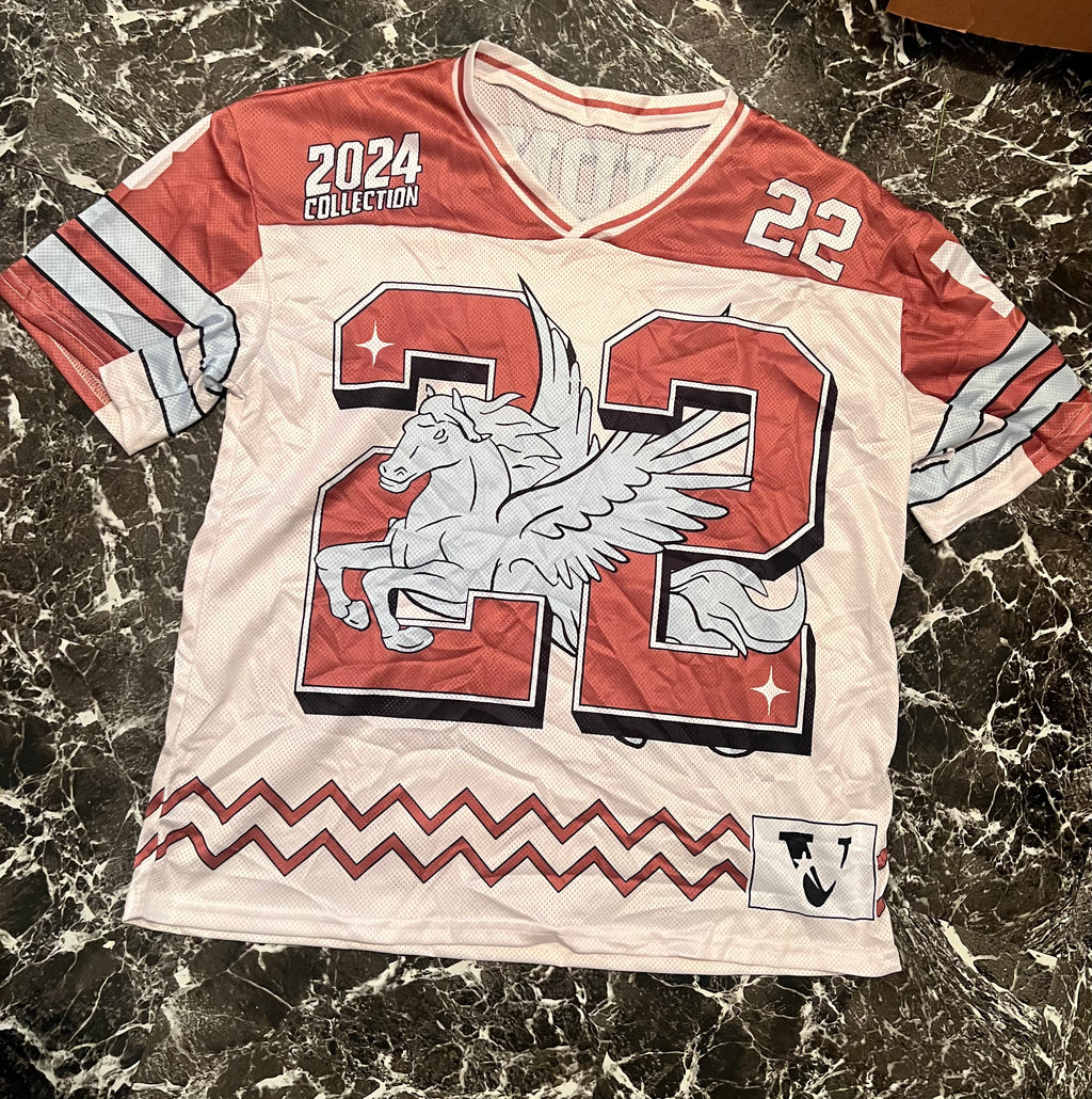 “22 horse” oversized jersey top