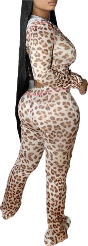 “Pink leopard” hoodie pants set